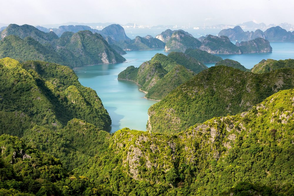 The majestic yet poetic scenery of Cat Ba National Park